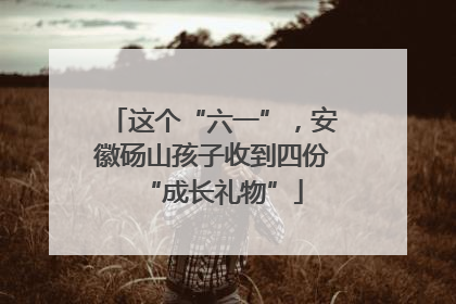 这个“六一”，安徽砀山孩子收到四份“成长礼物”