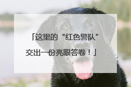 这里的“红色警队”交出一份亮眼答卷！