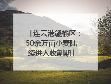 连云港赣榆区：50余万亩小麦陆续进入收割期