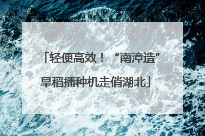 轻便高效！“南漳造”旱稻播种机走俏湖北