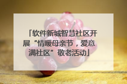 软件新城智慧社区开展“情暖母亲节，爱意满社区”敬老活动