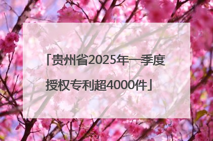 贵州省2025年一季度授权专利超4000件
