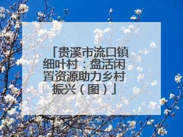 贵溪市流口镇细叶村：盘活闲置资源助力乡村振兴（图）