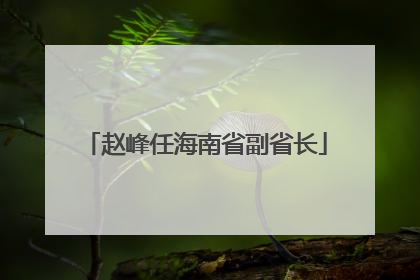 赵峰任海南省副省长