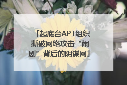 起底台APT组织 撕破网络攻击“闹剧”背后的阴谋网