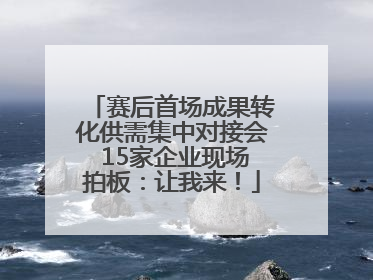 赛后首场成果转化供需集中对接会 15家企业现场拍板：让我来！