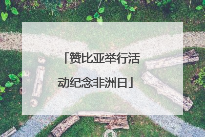 赞比亚举行活动纪念非洲日