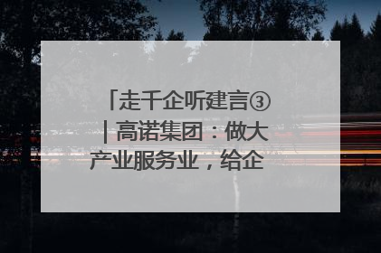 走千企听建言③｜高诺集团：做大产业服务业，给企业更多创新空间