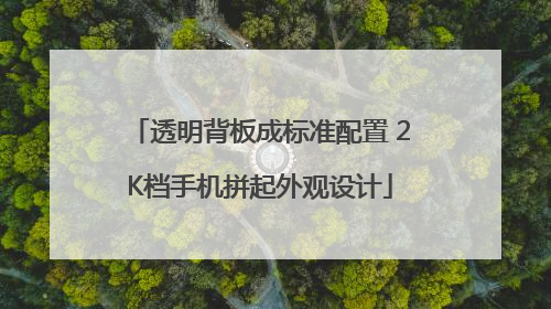透明背板成标准配置 2K档手机拼起外观设计
