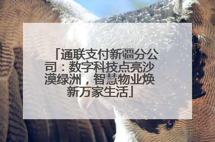 通联支付新疆分公司：数字科技点亮沙漠绿洲，智慧物业焕新万家生活