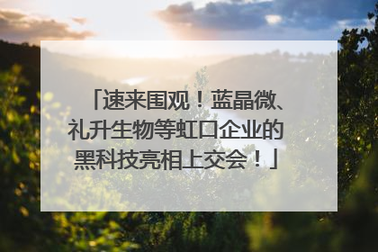 速来围观！蓝晶微、礼升生物等虹口企业的黑科技亮相上交会！