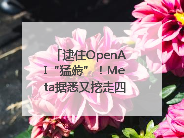 逮住OpenAI“猛薅”！Meta据悉又挖走四位知名研究人员