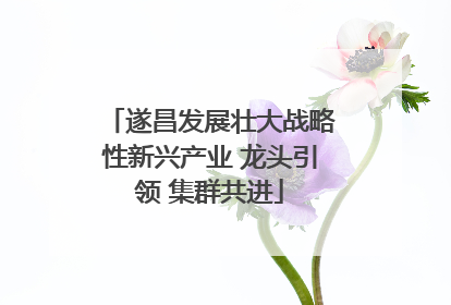 遂昌发展壮大战略性新兴产业 龙头引领 集群共进