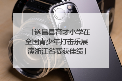 遂昌县育才小学在全国青少年打击乐展演浙江省赛获佳绩