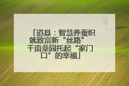 道县：智慧养蚕织就致富新“丝路” 千亩桑园托起“家门口”的幸福