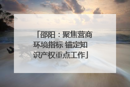 邵阳：聚焦营商环境指标 锚定知识产权重点工作
