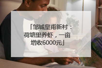 邹城皇甫新村：荷塘里养虾，一亩增收6000元