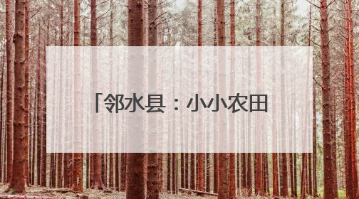 邻水县：小小农田“豆”趣横生 莘莘学童劳动添能