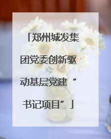 郑州城发集团党委创新驱动基层党建“书记项目”