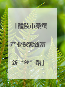 醴陵市桑蚕产业探索致富新“丝”路