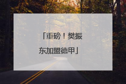 重磅！樊振东加盟德甲