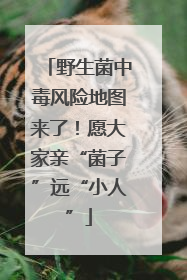 野生菌中毒风险地图来了！愿大家亲“菌子”远“小人”