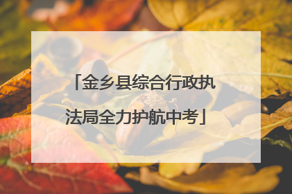 金乡县综合行政执法局全力护航中考