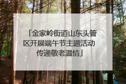 金家岭街道山东头管区开展端午节主题活动 传递敬老温情