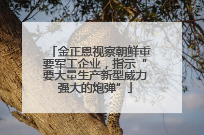 金正恩视察朝鲜重要军工企业，指示“要大量生产新型威力强大的炮弹”
