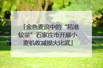 金色麦浪中的“精准较量”石家庄市开展小麦机收减损大比武