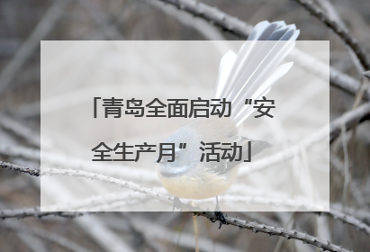 青岛全面启动“安全生产月”活动