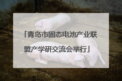 青岛市固态电池产业联盟产学研交流会举行