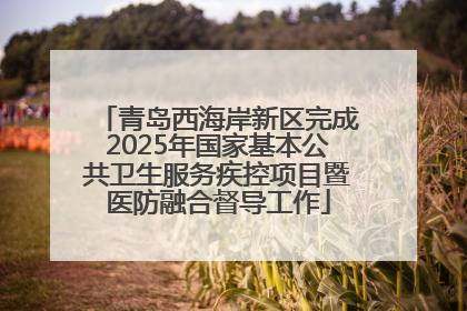青岛西海岸新区完成2025年国家基本公共卫生服务疾控项目暨医防融合督导工作