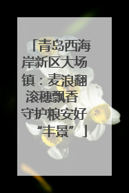 青岛西海岸新区大场镇：麦浪翻滚穗飘香 守护粮安好“丰景”