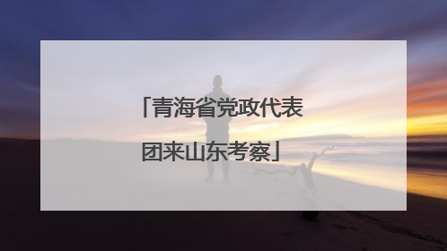 青海省党政代表团来山东考察
