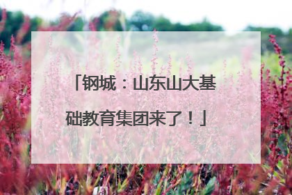 钢城：山东山大基础教育集团来了！