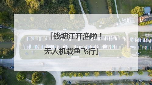 钱塘江开渔啦！无人机载鱼飞行