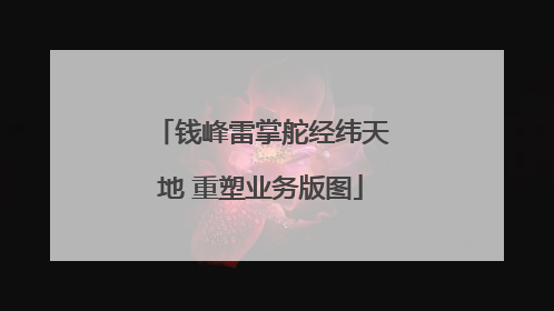 钱峰雷掌舵经纬天地 重塑业务版图