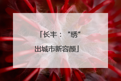 长丰：“绣”出城市新容颜