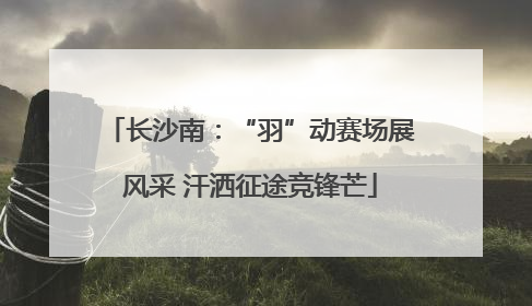 长沙南：“羽”动赛场展风采 汗洒征途竞锋芒