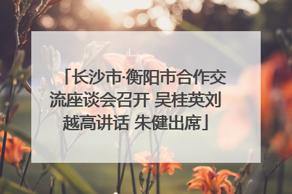 长沙市·衡阳市合作交流座谈会召开 吴桂英刘越高讲话 朱健出席