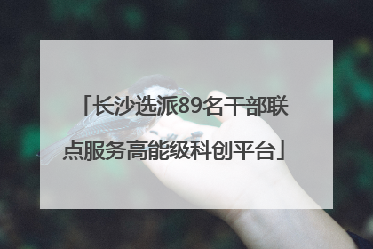 长沙选派89名干部联点服务高能级科创平台