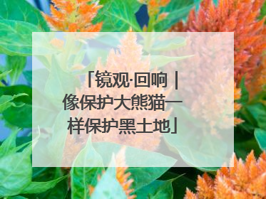镜观·回响｜像保护大熊猫一样保护黑土地