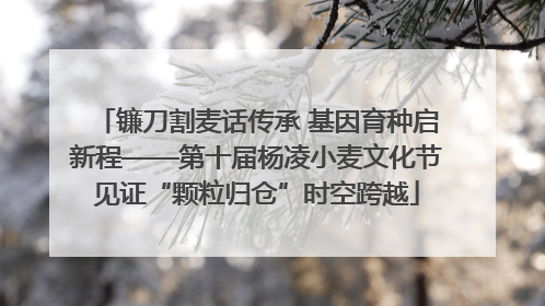 镰刀割麦话传承 基因育种启新程——第十届杨凌小麦文化节见证“颗粒归仓”时空跨越