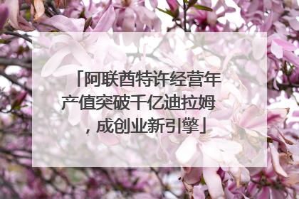 阿联酋特许经营年产值突破千亿迪拉姆，成创业新引擎