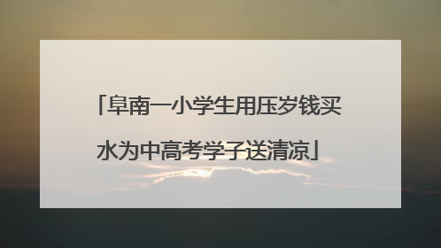 阜南一小学生用压岁钱买水为中高考学子送清凉