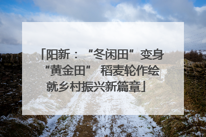 阳新：“冬闲田”变身“黄金田” 稻麦轮作绘就乡村振兴新篇章