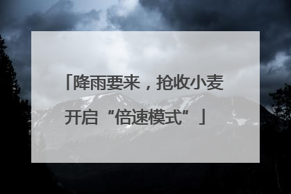 降雨要来，抢收小麦开启“倍速模式”