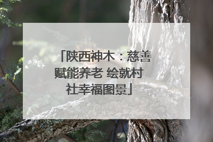 陕西神木：慈善赋能养老 绘就村社幸福图景