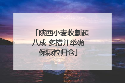 陕西小麦收割超八成 多措并举确保颗粒归仓
